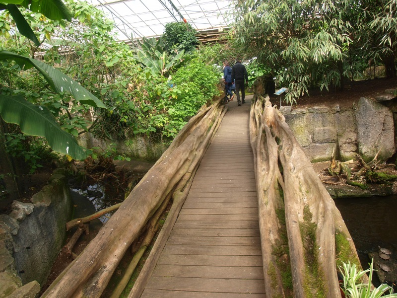 Visitor bridge (April 19th, 2015)