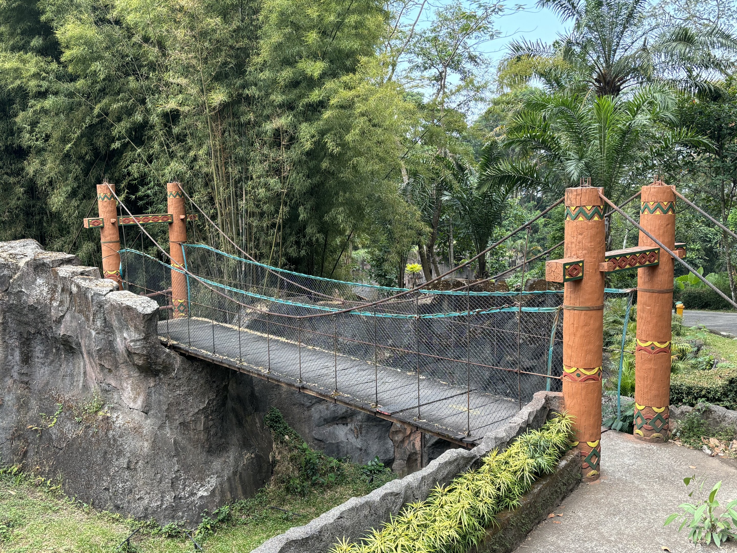 Visitor Bridge - over Lion exhibit!
