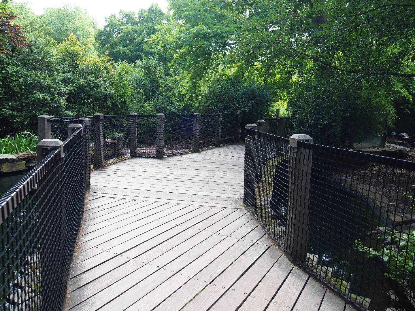 Visitor bridge over the bar-headed goose exhibit - Formerly the nutria exhibit, 2020-06-28