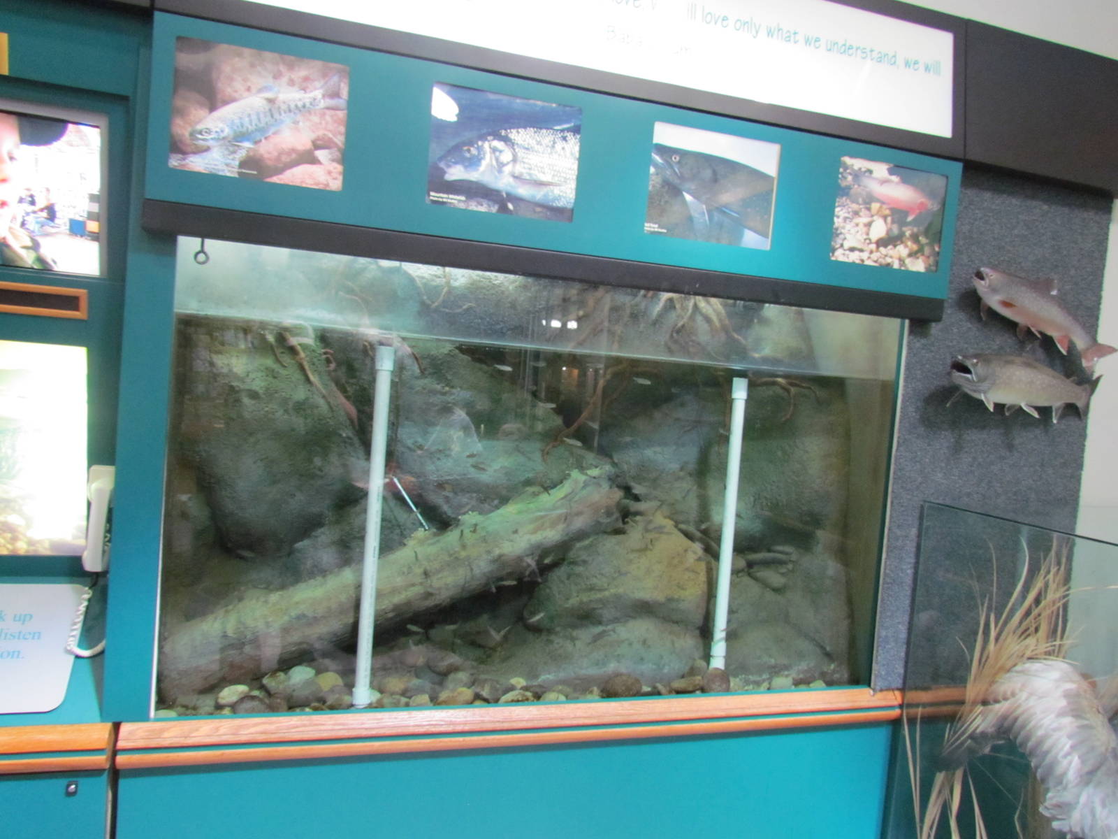 Visitor Center - Aquarium