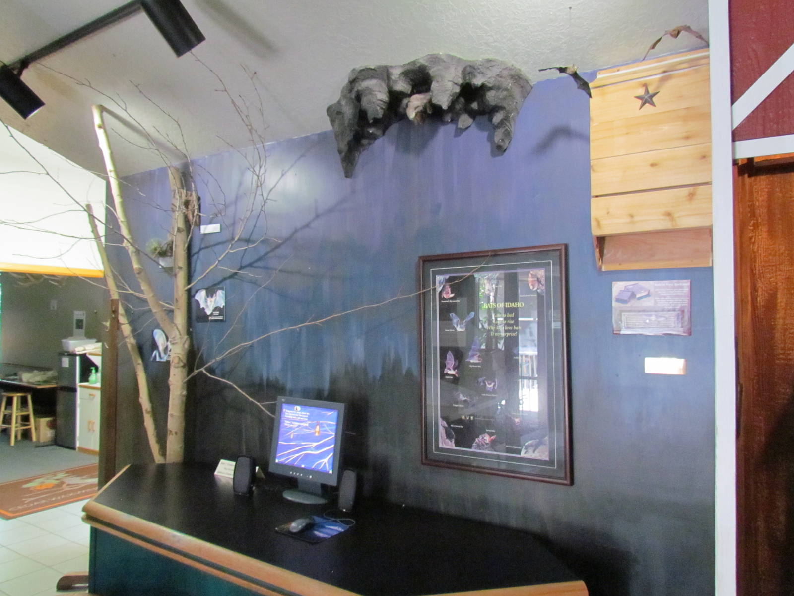 Visitor Center - Bat Display