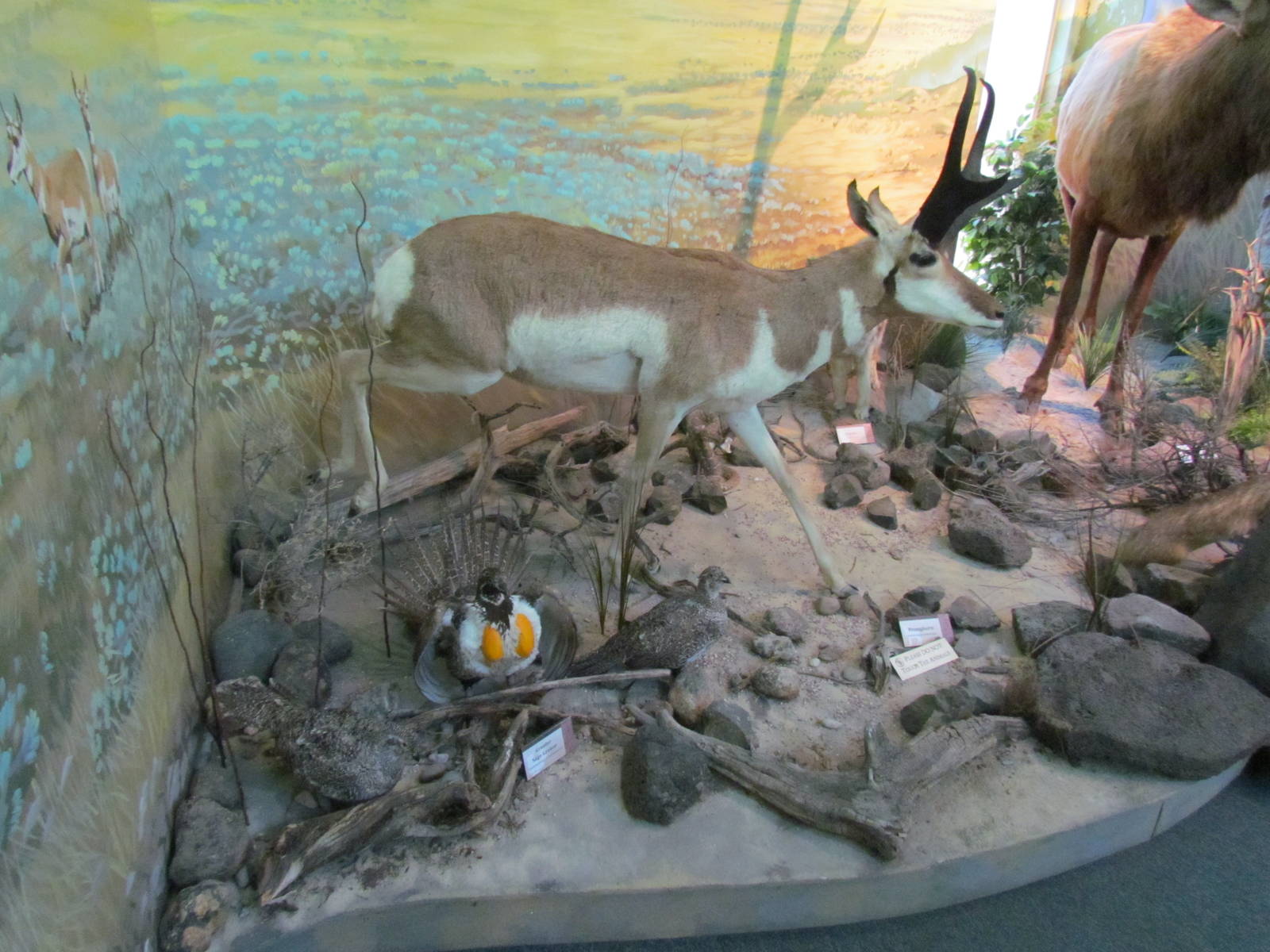 Visitor Center - Diorama Room