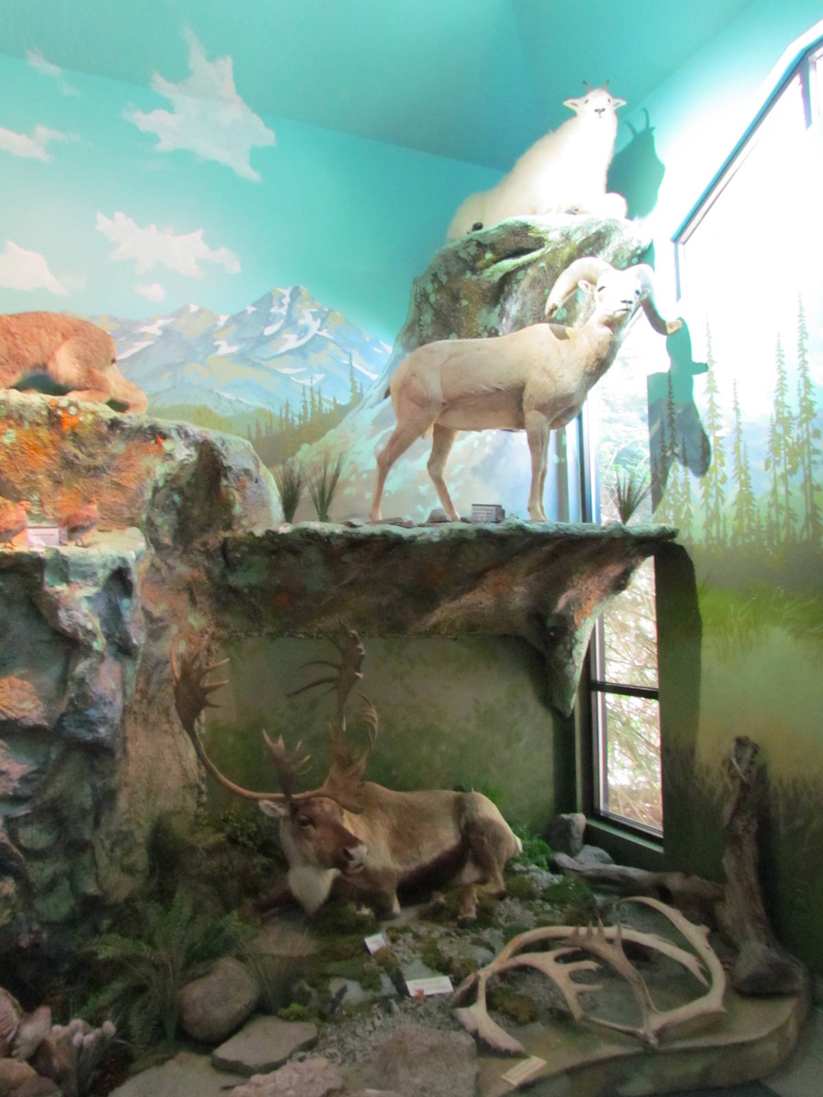 Visitor Center - Diorama Room