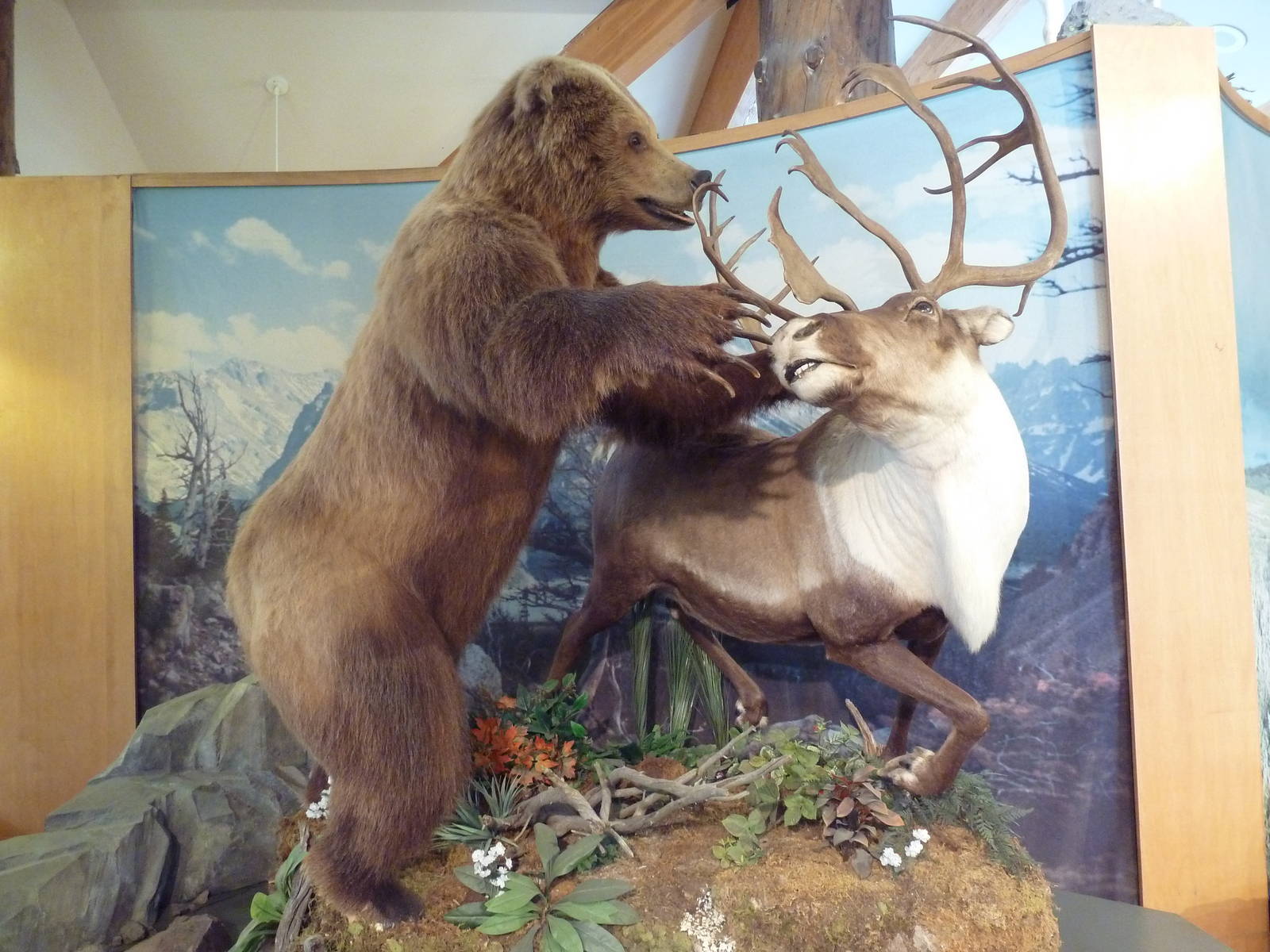 Visitor Center Diorama