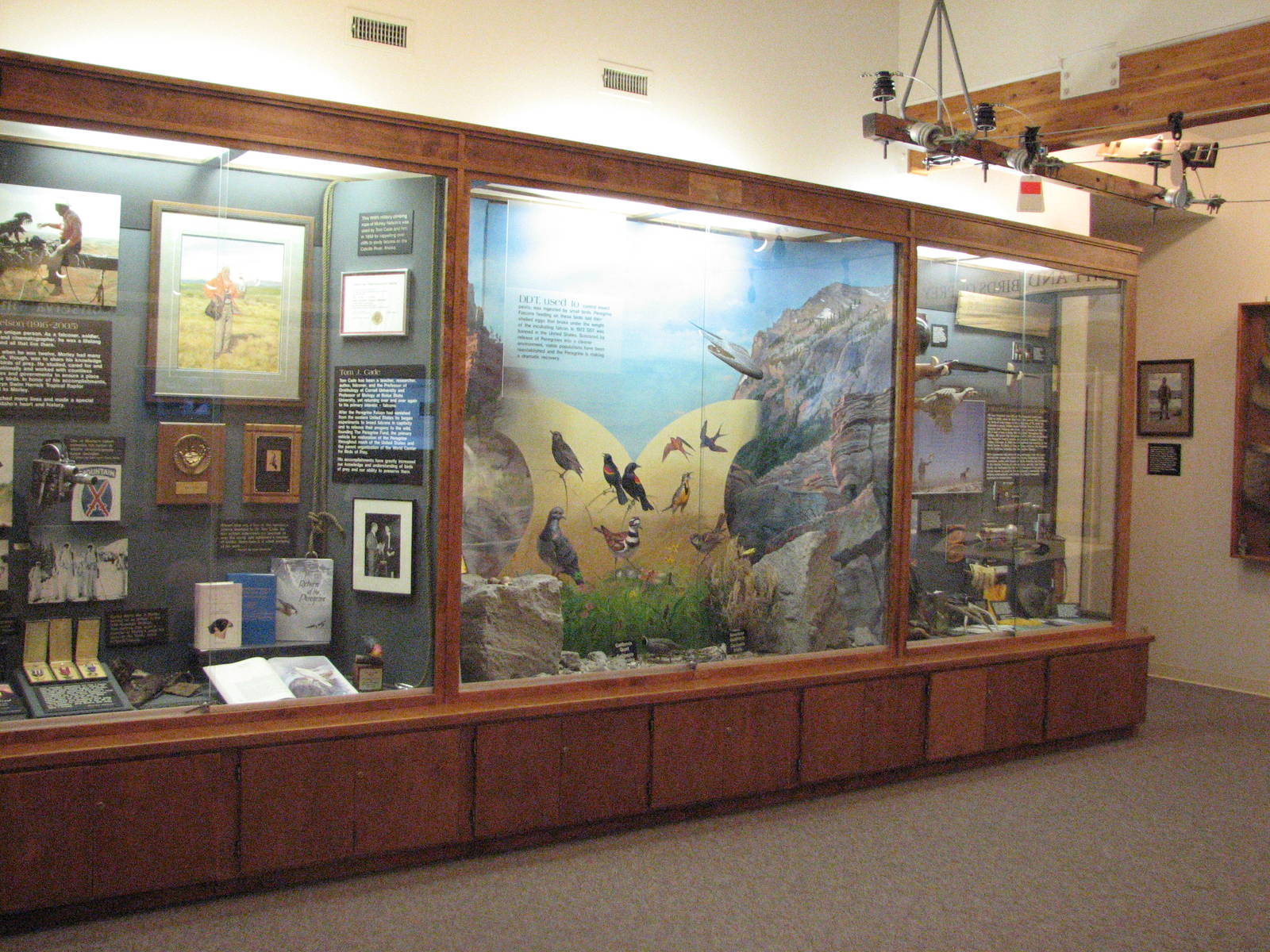 Visitor Center - Displays
