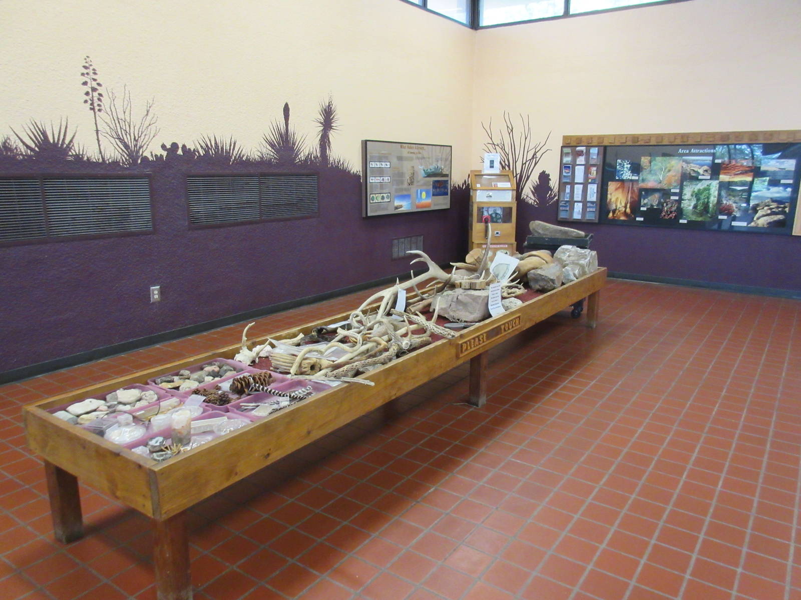 Visitor Center - Fossils, Skins, Bones, etc.