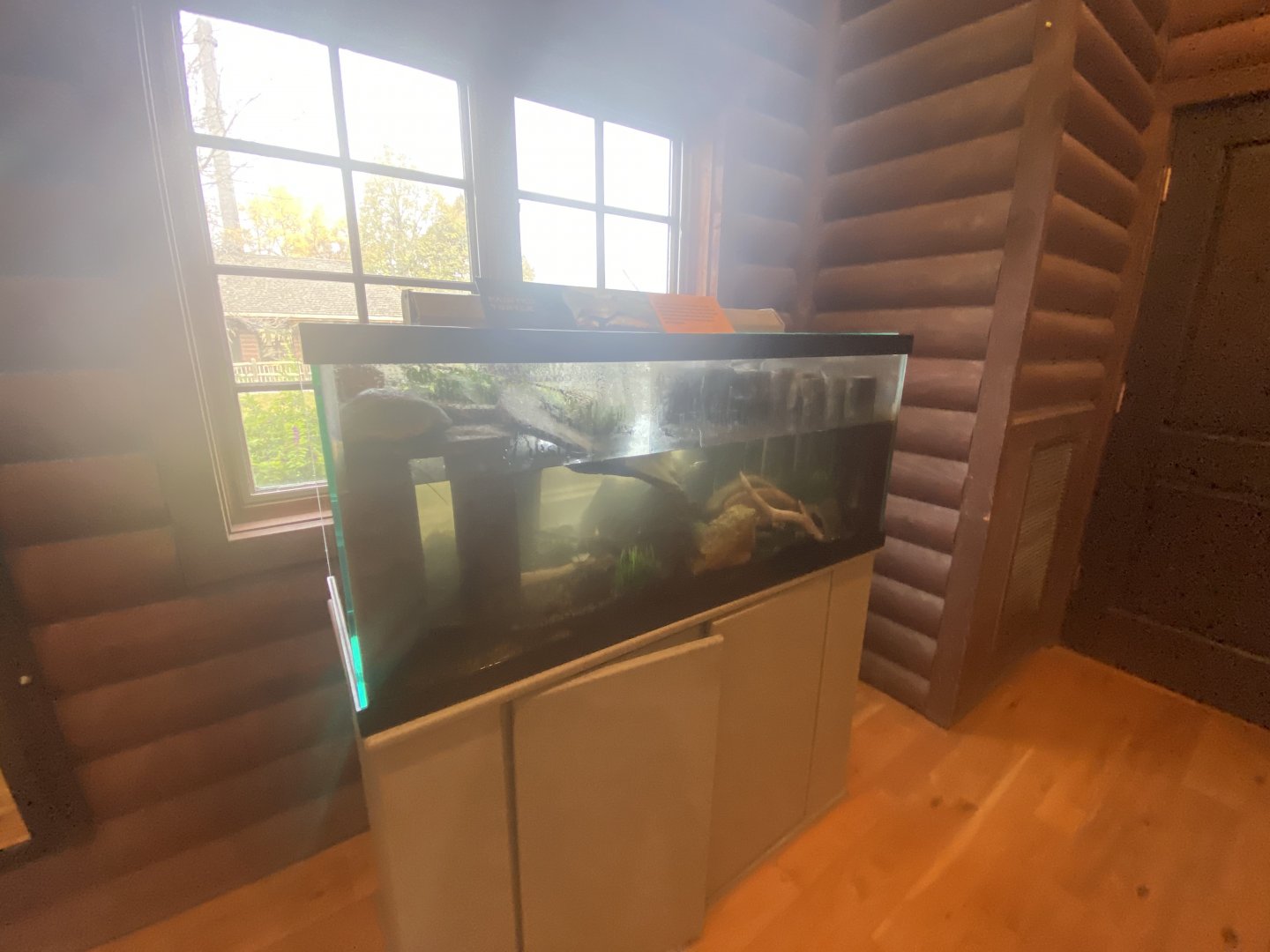 Visitor Center - Painted Turtle Tank