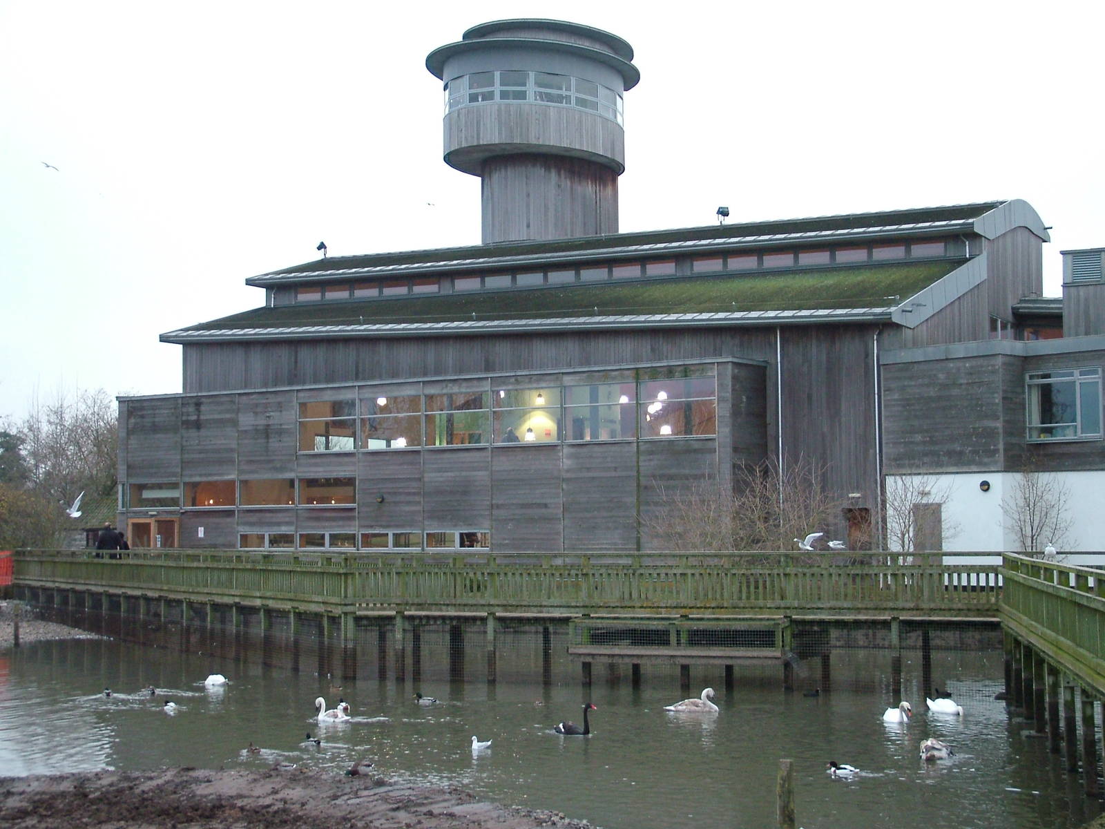 Visitor Centre at Slimbridge 06/02/10