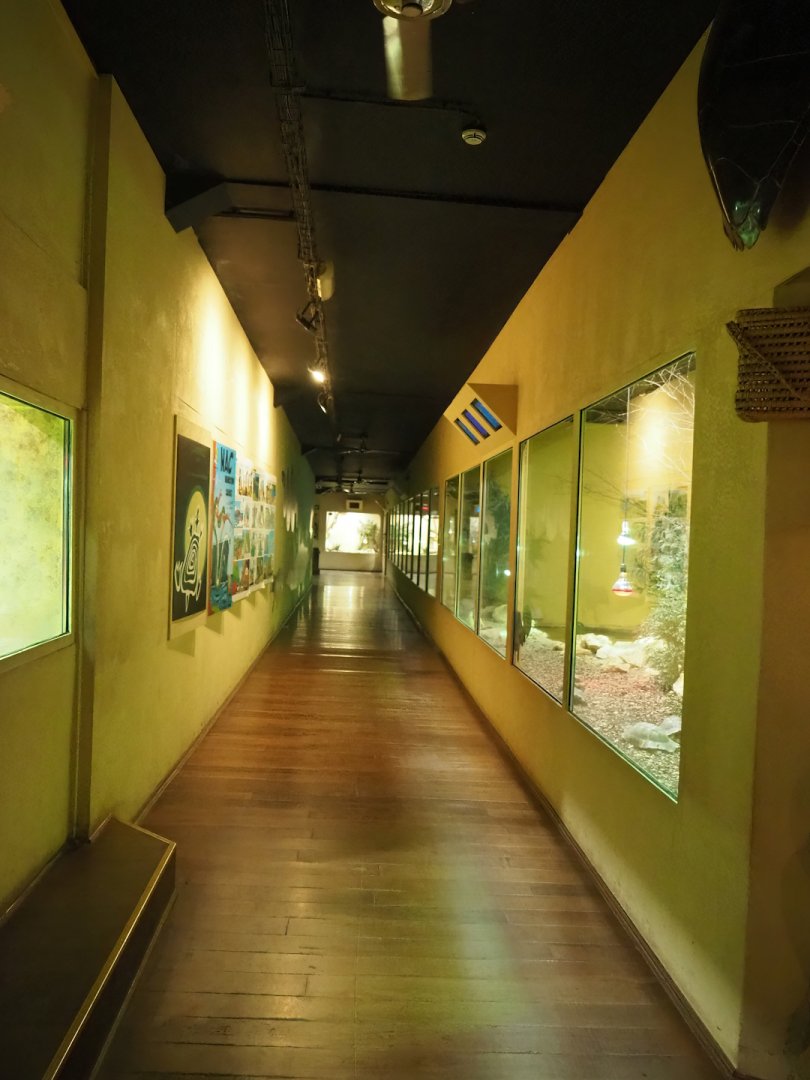 Visitor corridor and terrariums in the Mersus Emergo reptile house, 2023-05-15