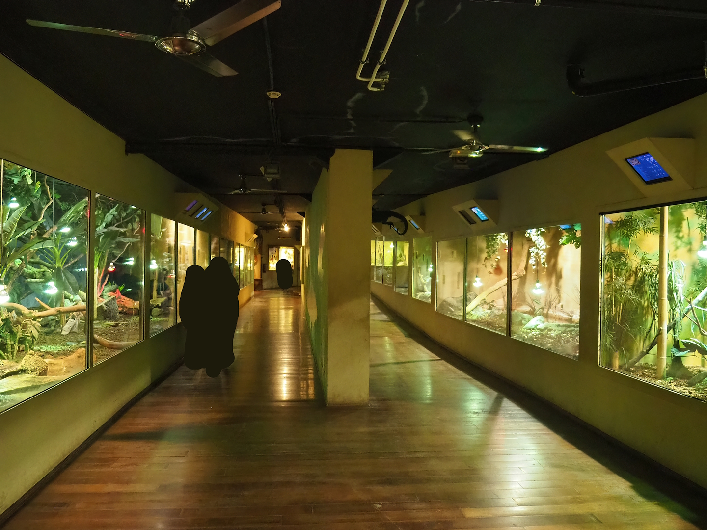 Visitor corridor and terrariums in the Mersus Emergo reptile house, 2023-05-15