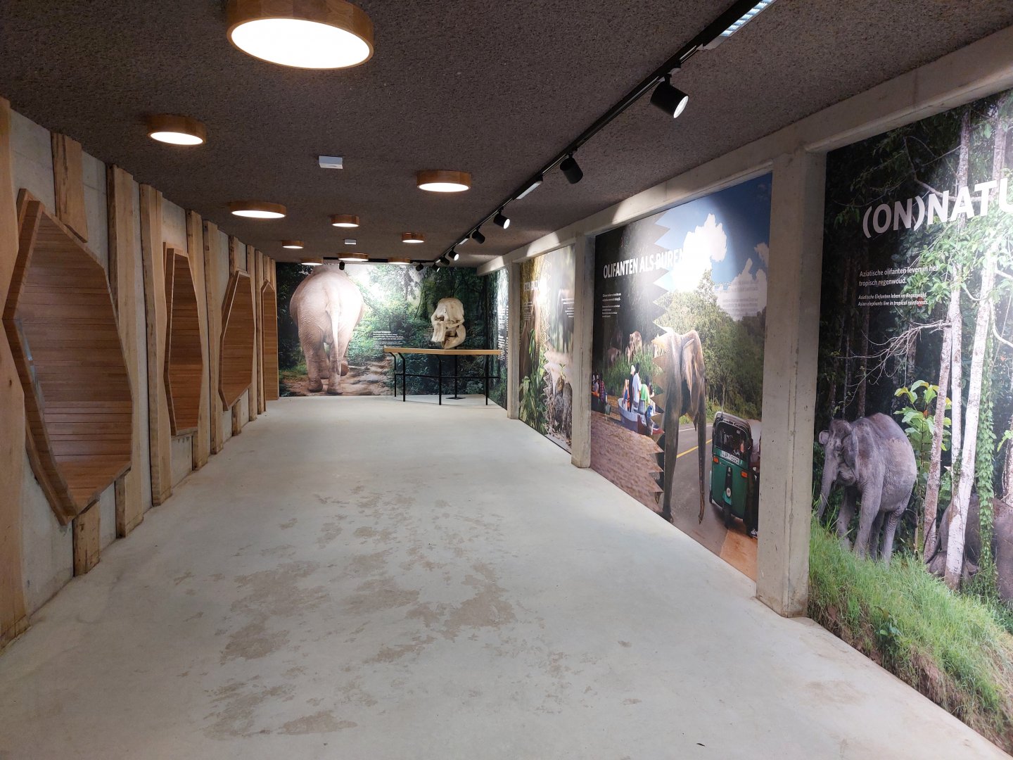 Visitor corridor in elephant stables