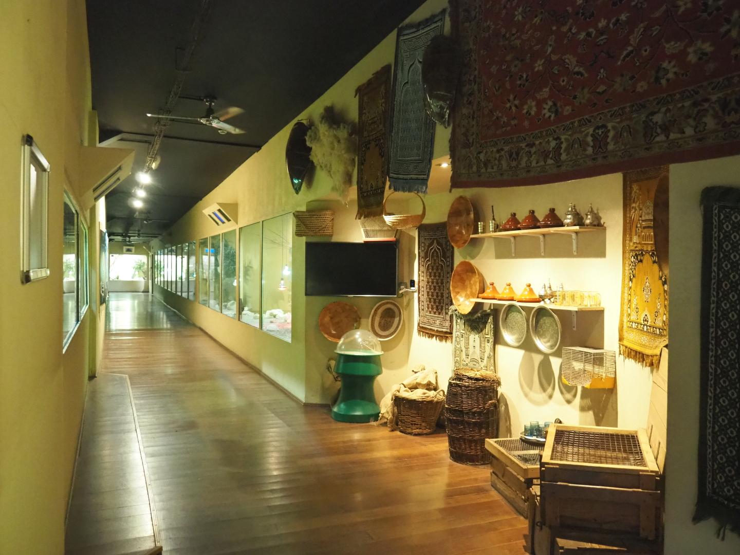 Visitor corridor in the reptile house part of the Mersus Emergo, 2021-09-03