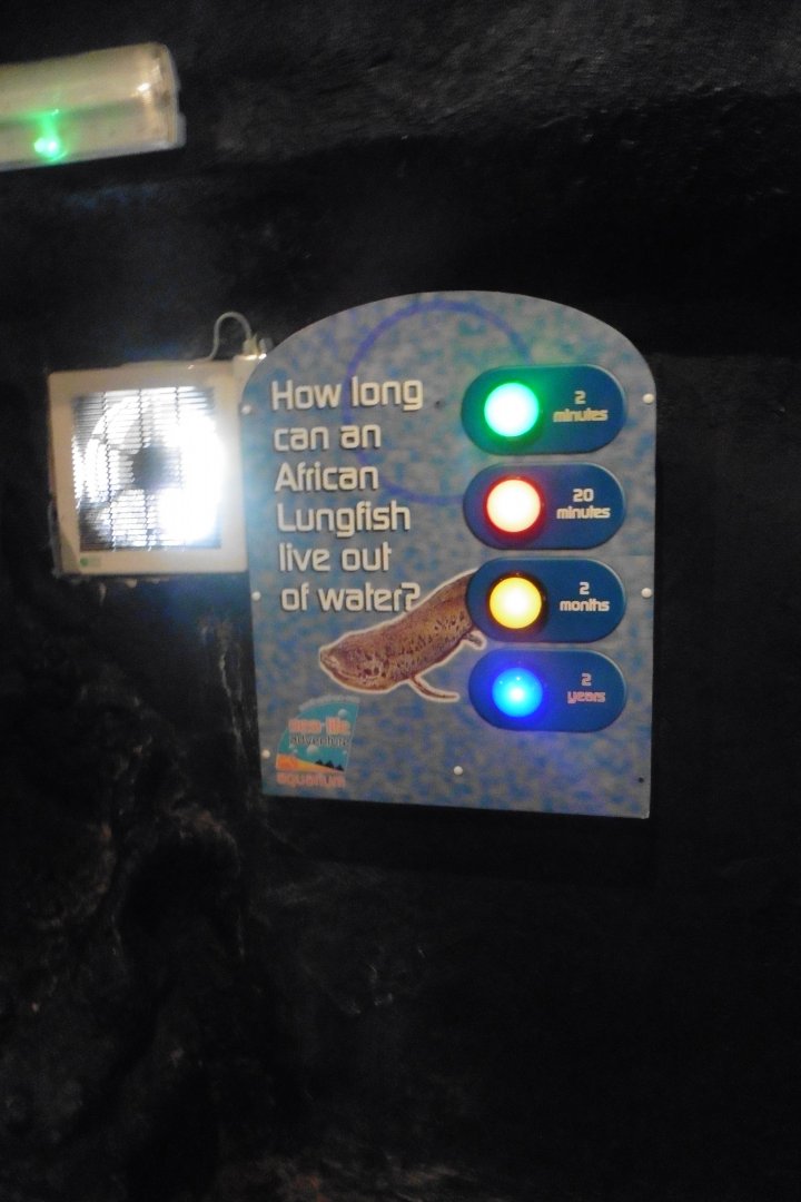 Visitor educative interaction board