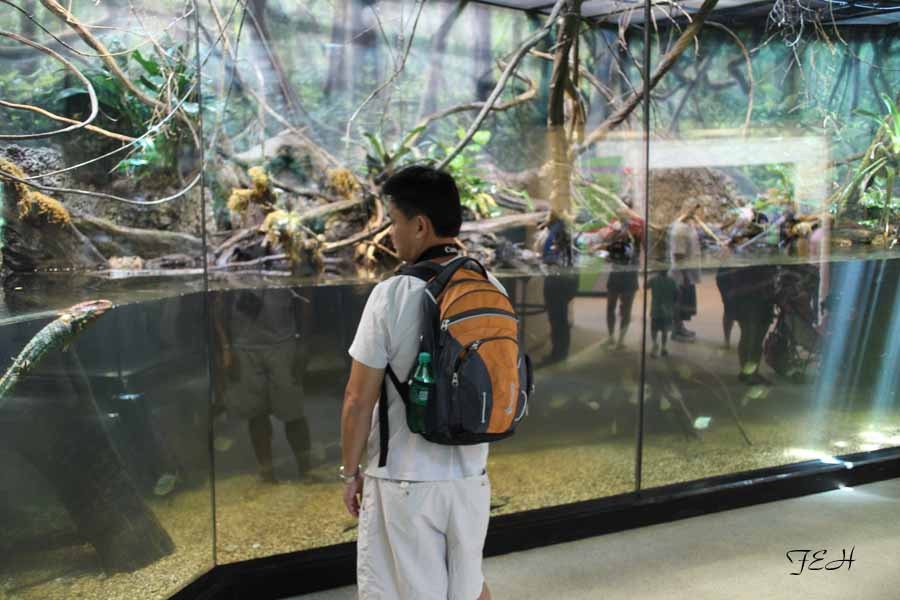 visitor in MOLA reptile house