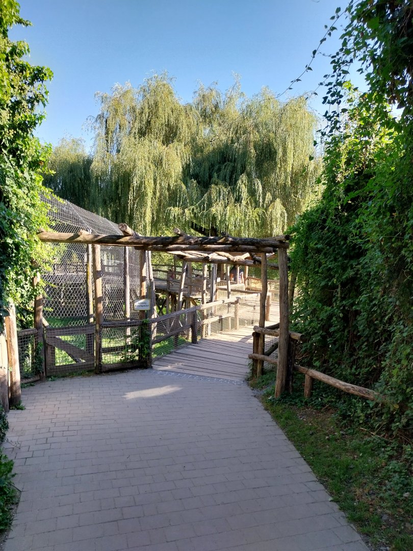 Visitor path African section