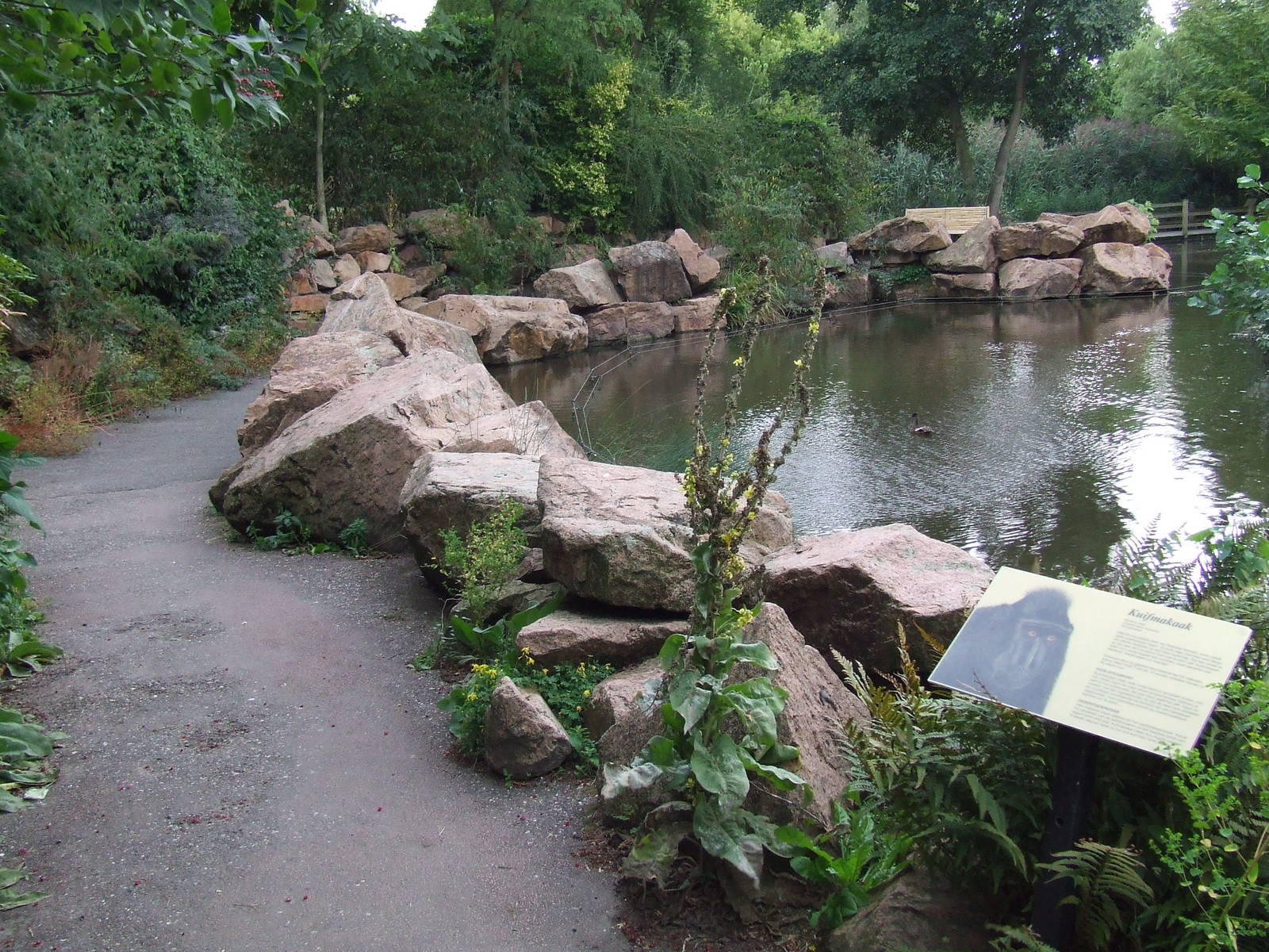 Visitor path, Asian Marshes