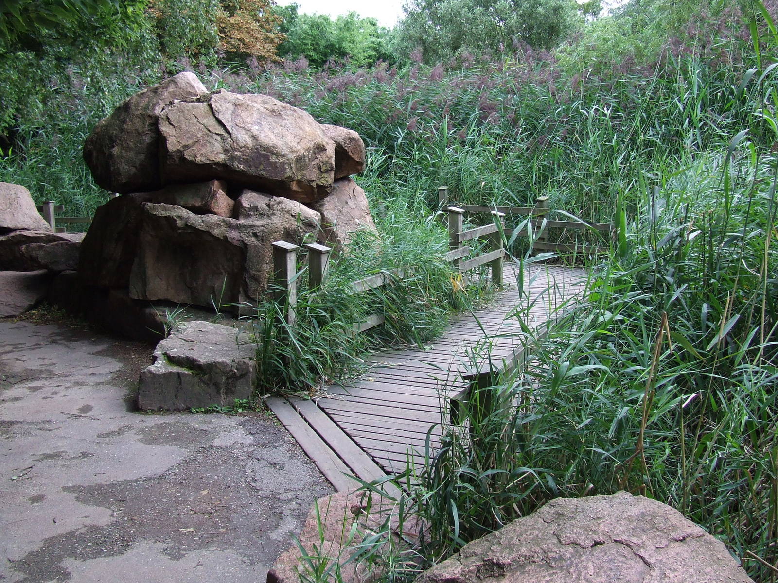 Visitor path, Asian Marshes