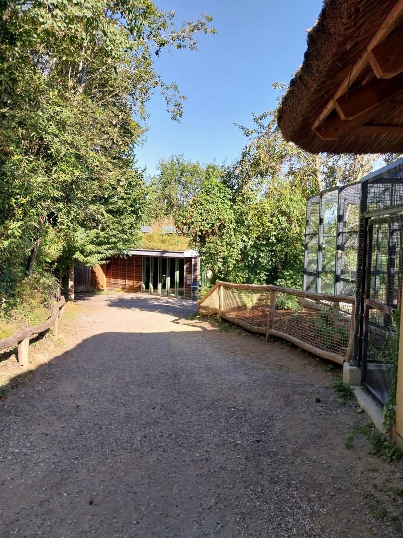 Visitor path with Gelada and Lion House