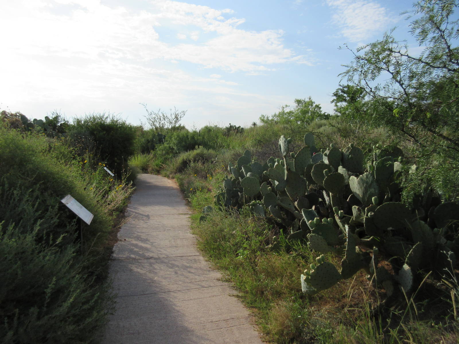 Visitor Pathway - a real highlight of this great zoo