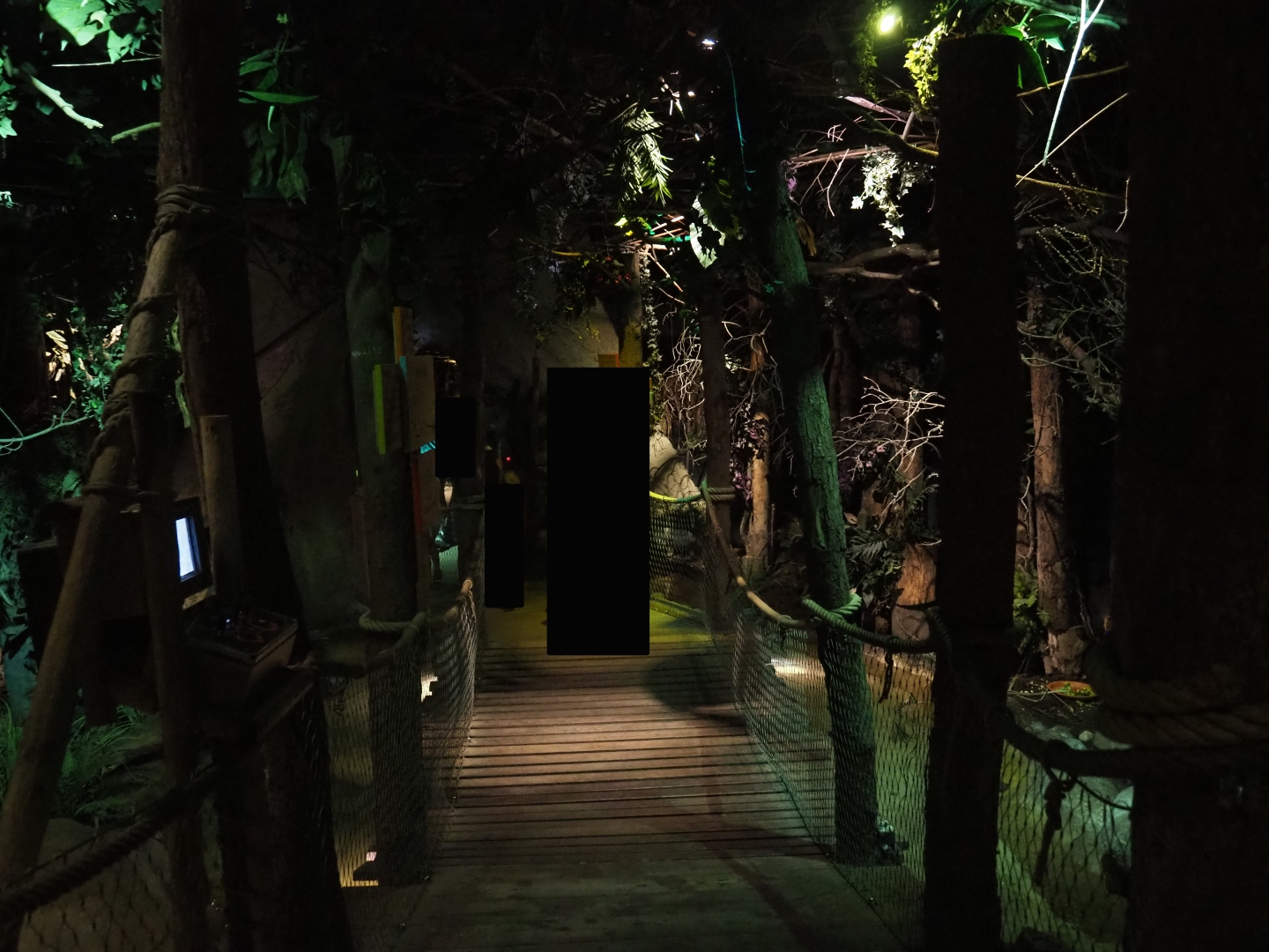 Visitor pathway in "De Nacht" nocturnal house