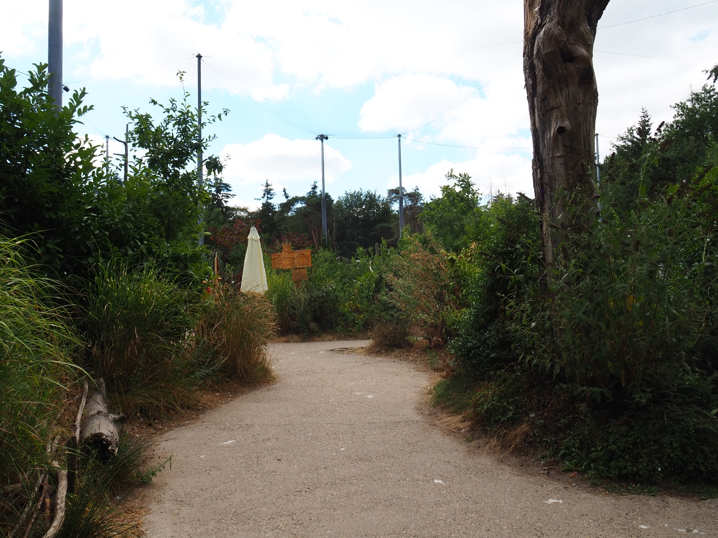 Visitor pathway in the SnavelRijk Aviary