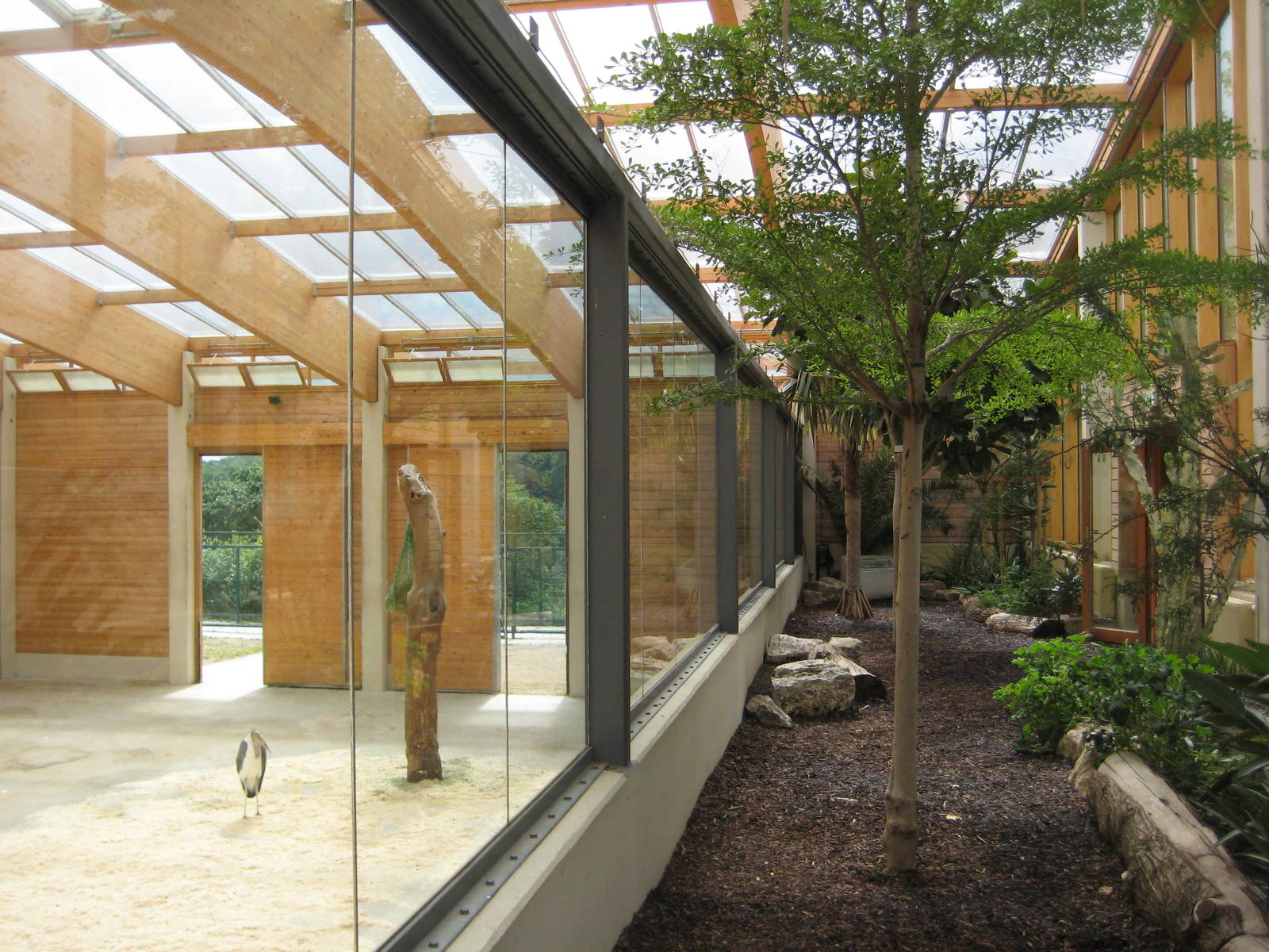 Visitor room in the giraffe house