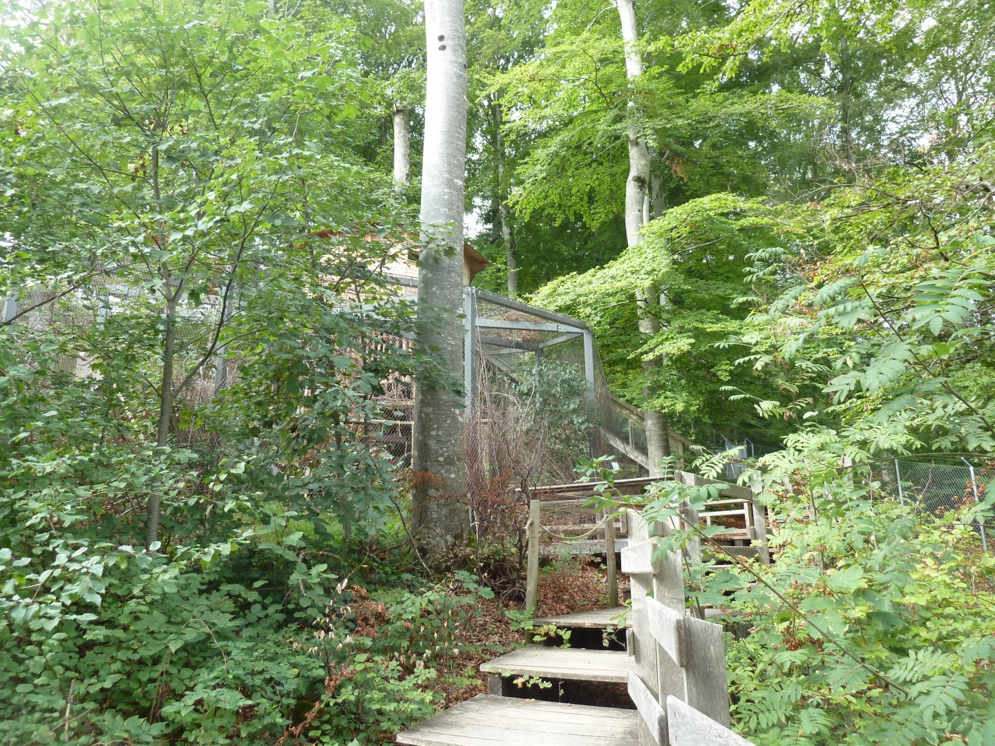 Visitor staircase to the Cabane des Pics