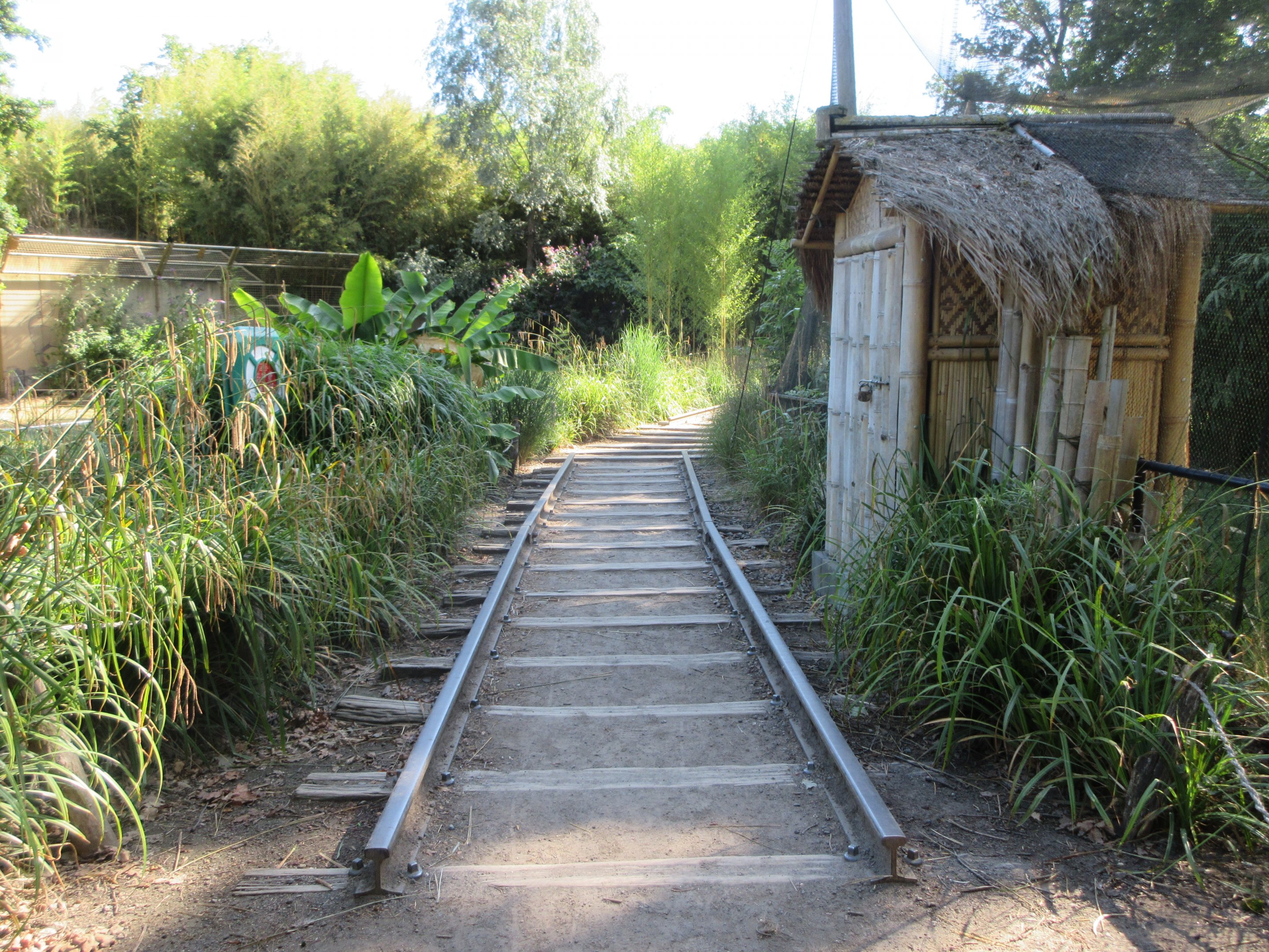 Visitor trail past Asian aviary