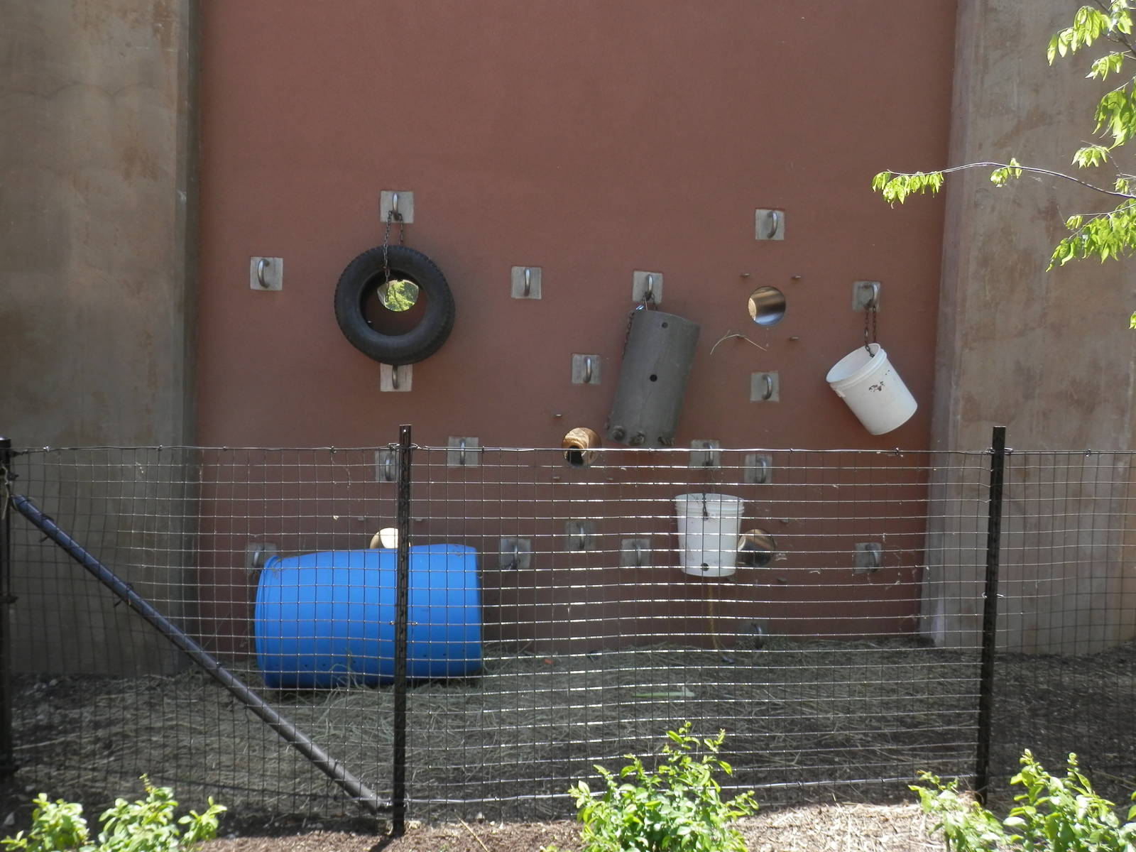 visitor view of "trunk holes"