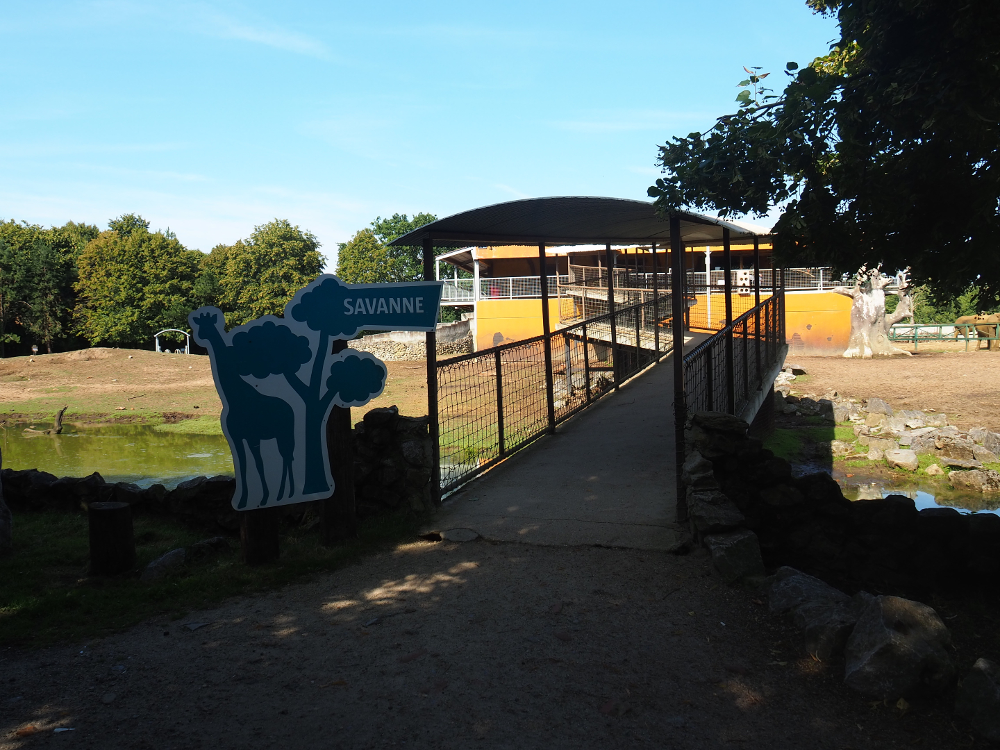 Visitor walkway over savanna exhibit towards the savanna building, 2019-08-04