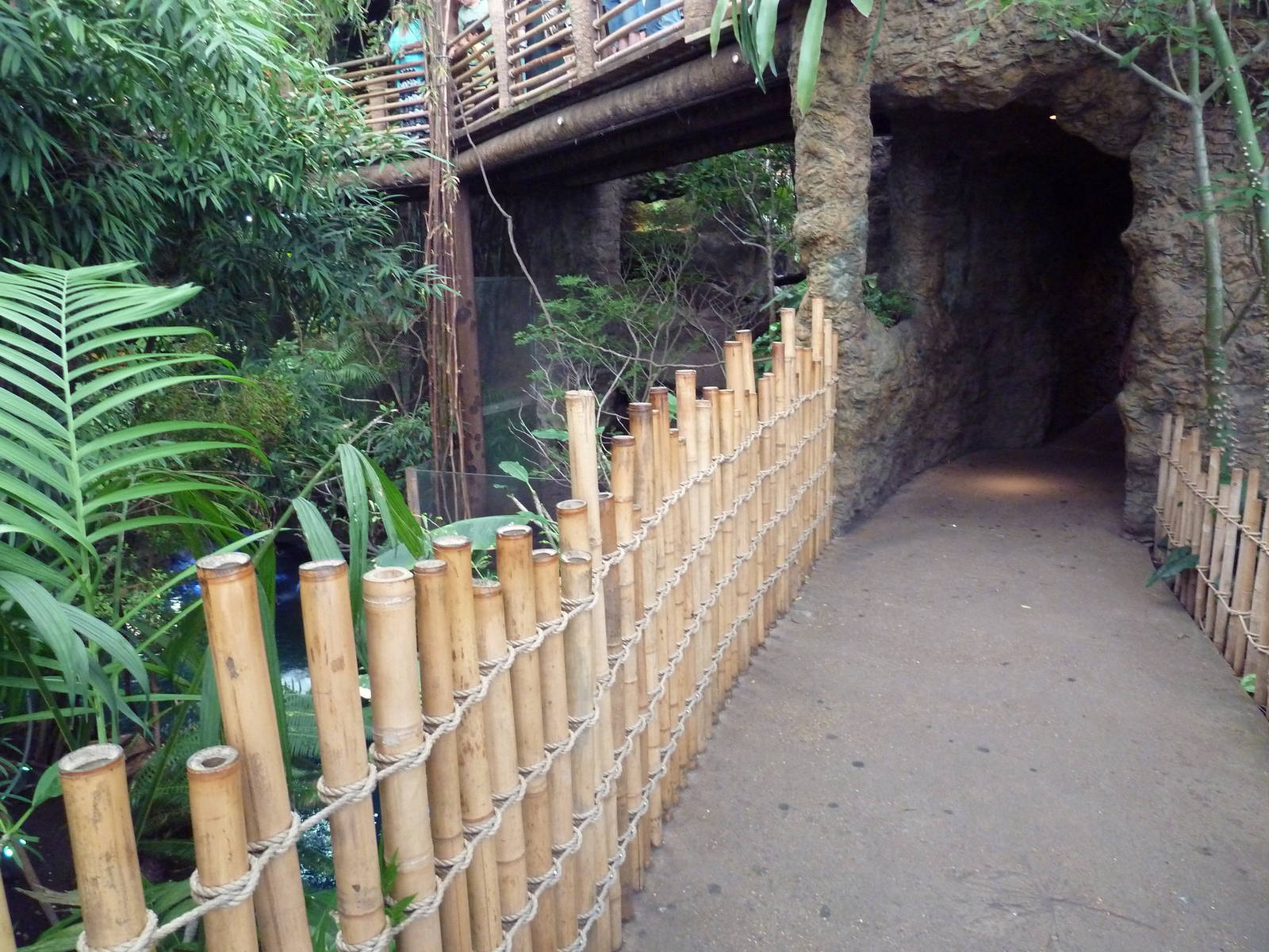 Visitor Walkway