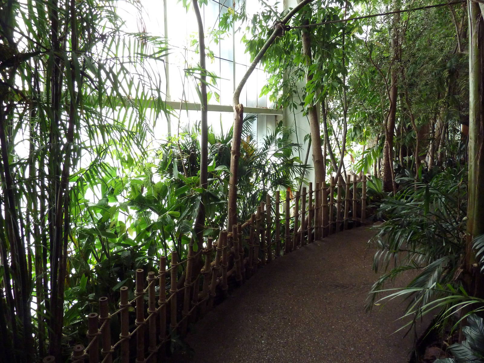 Visitor Walkway