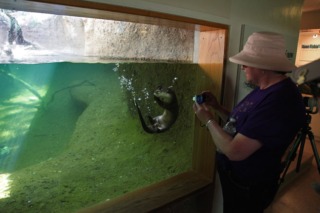 visitor with river otter