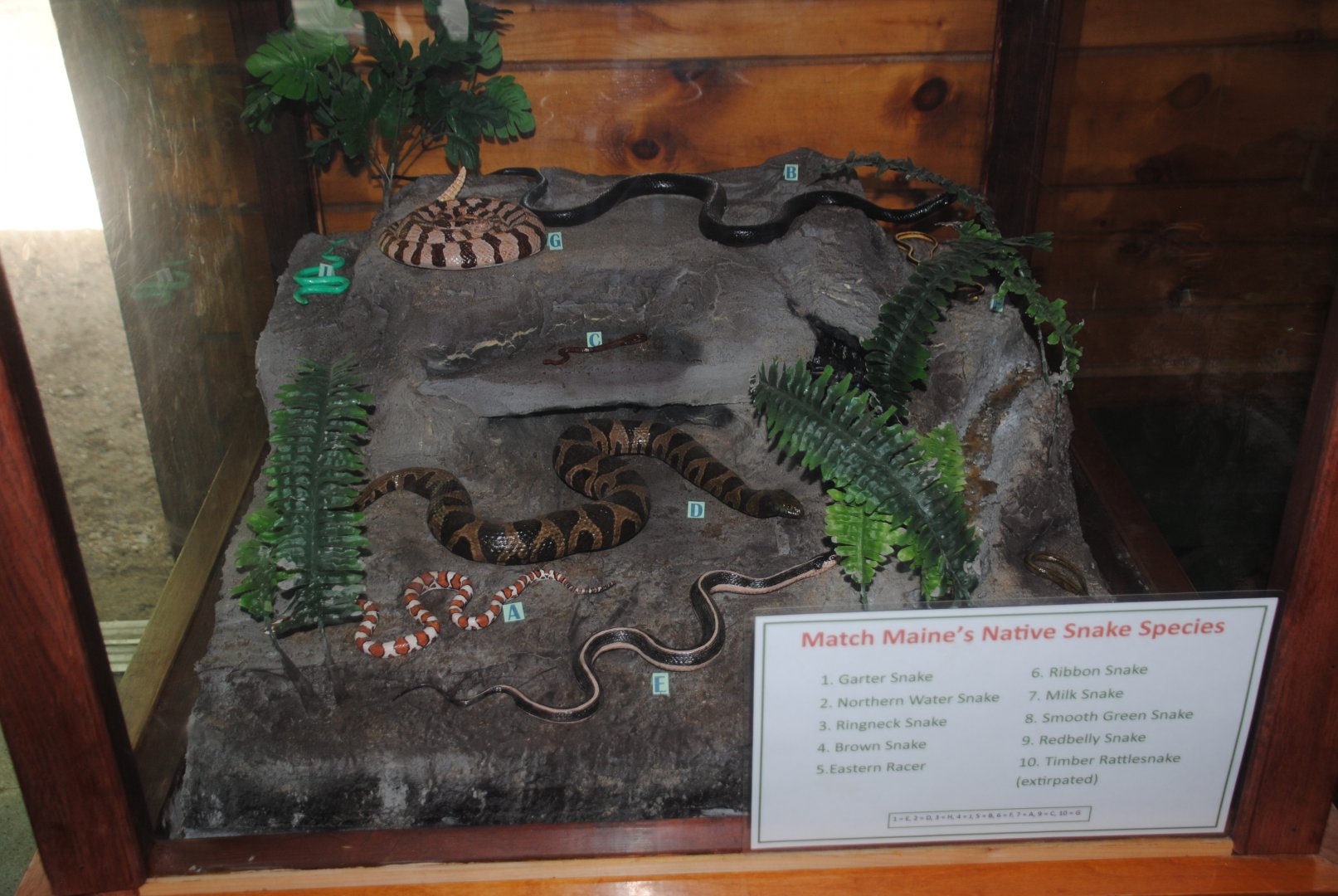 Visitors' Center interpretive materials