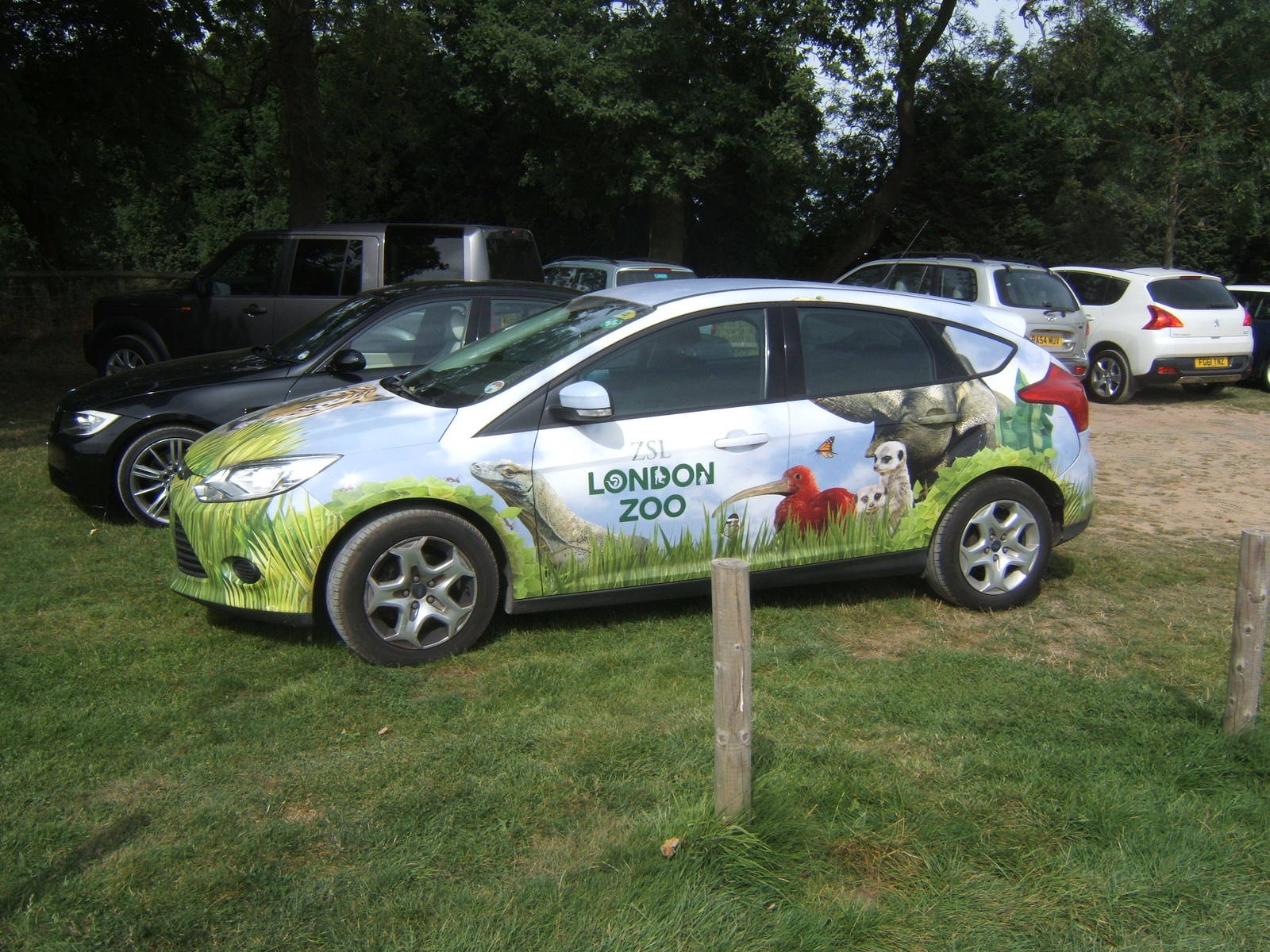 Visitors from another zoo in the car park