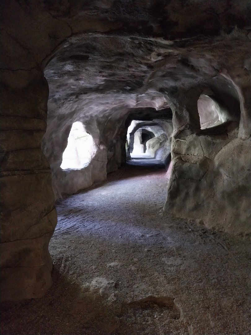 Visitors section large aviary