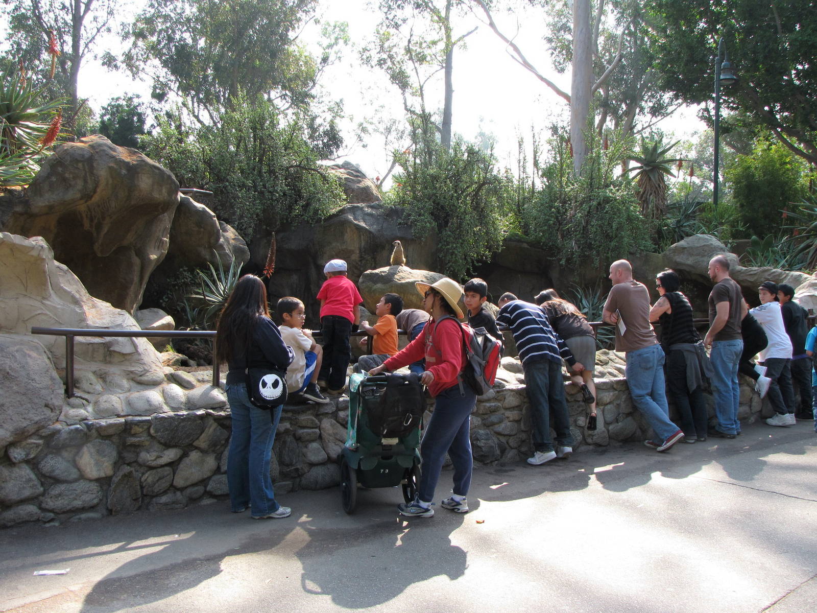 Visitors Viewing Meerkat Habitat