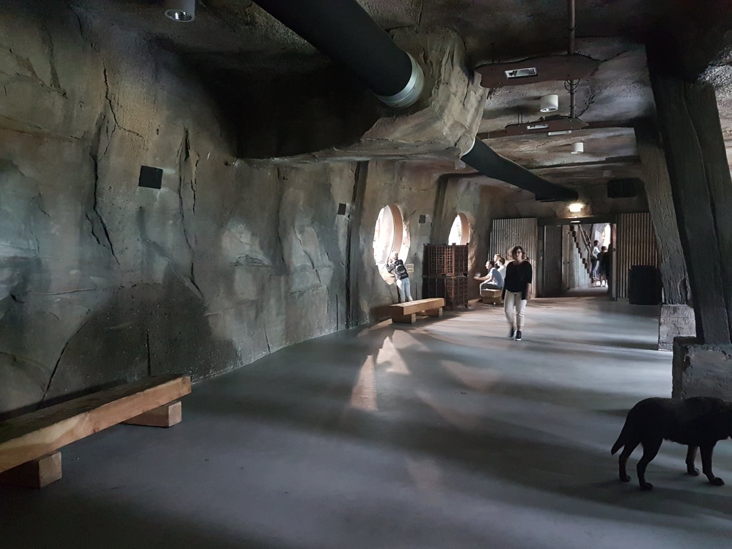 Visitorsway between Gorilla indoor and outdoor-enclosure