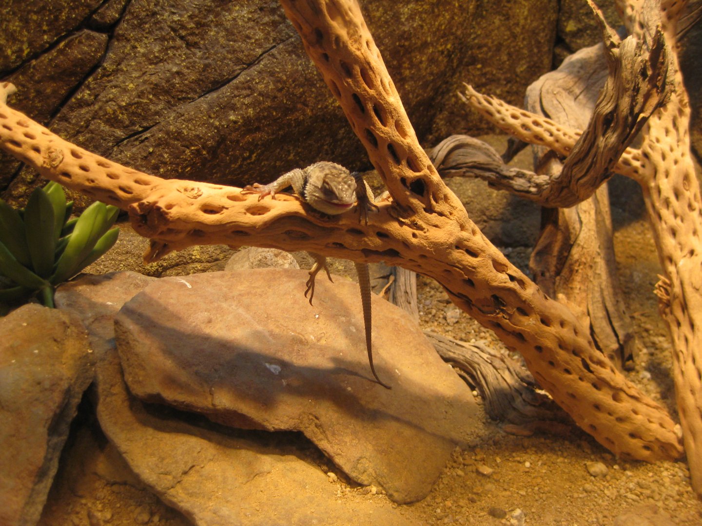 Viva Baja! Life on the Edge