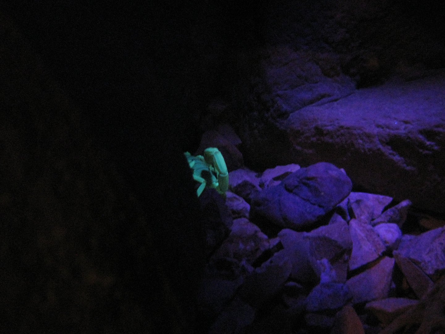 Viva Baja! Life on the Edge