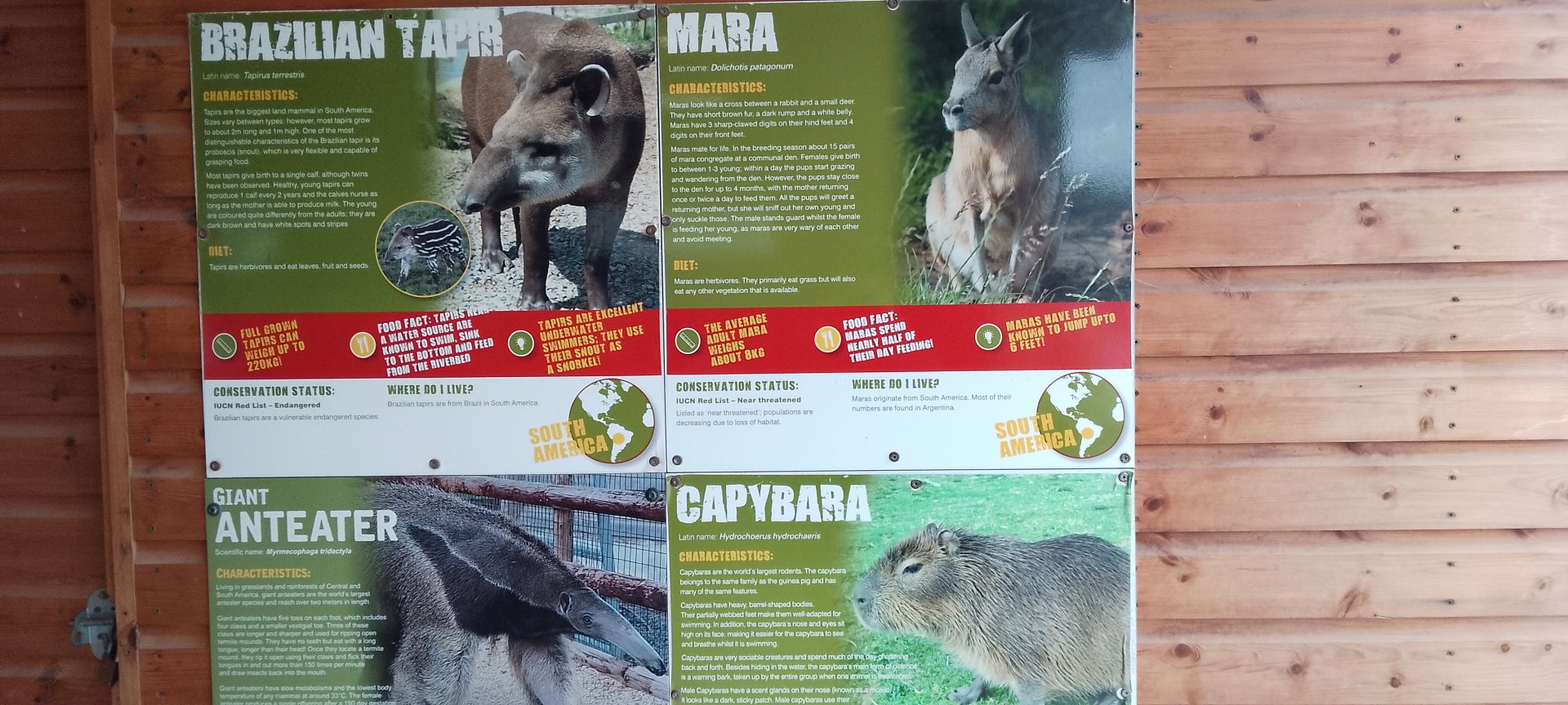 Viva South America Main Exhibit Signage