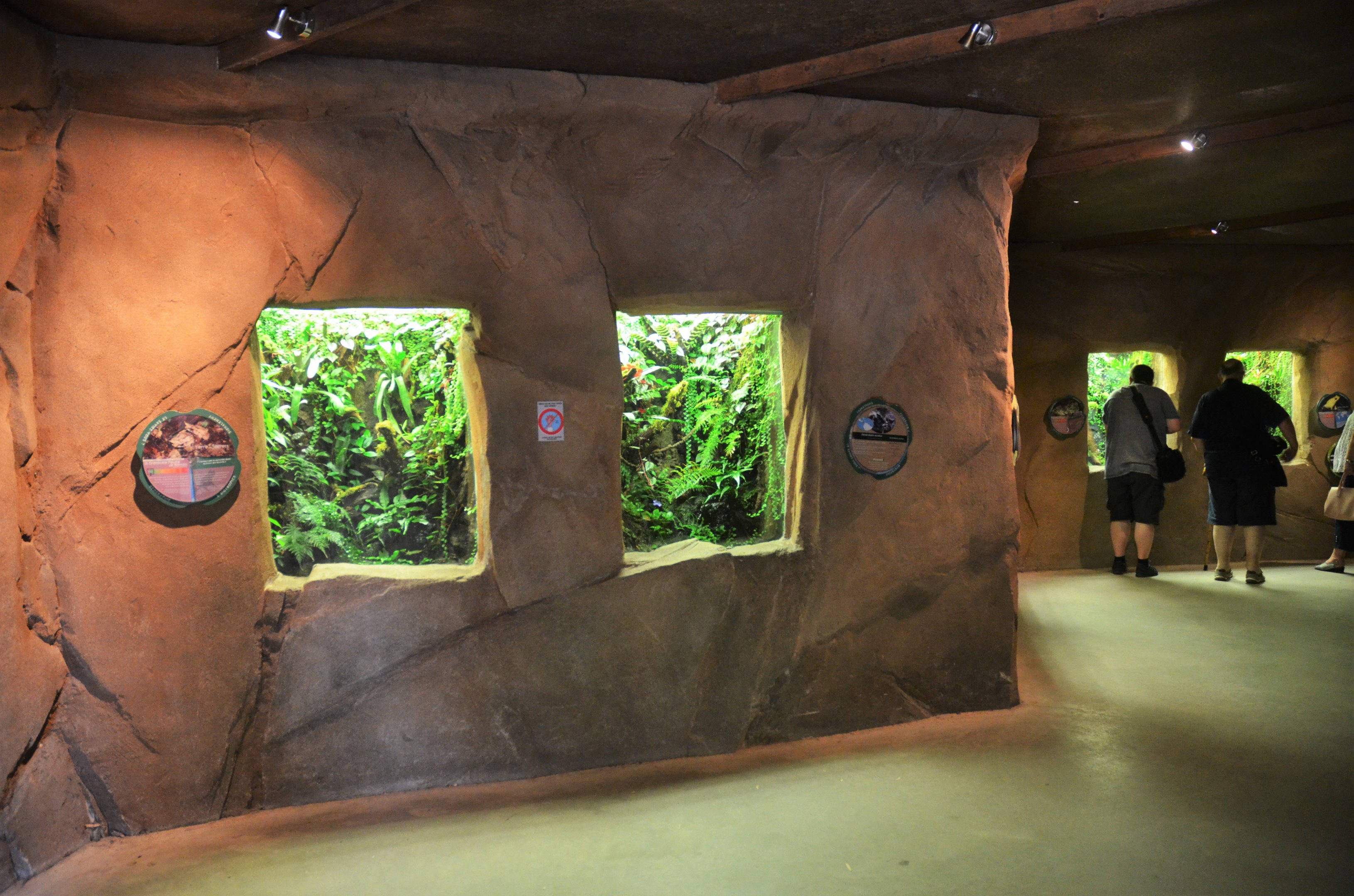 Vivaria at Biotropica, 16/06/18