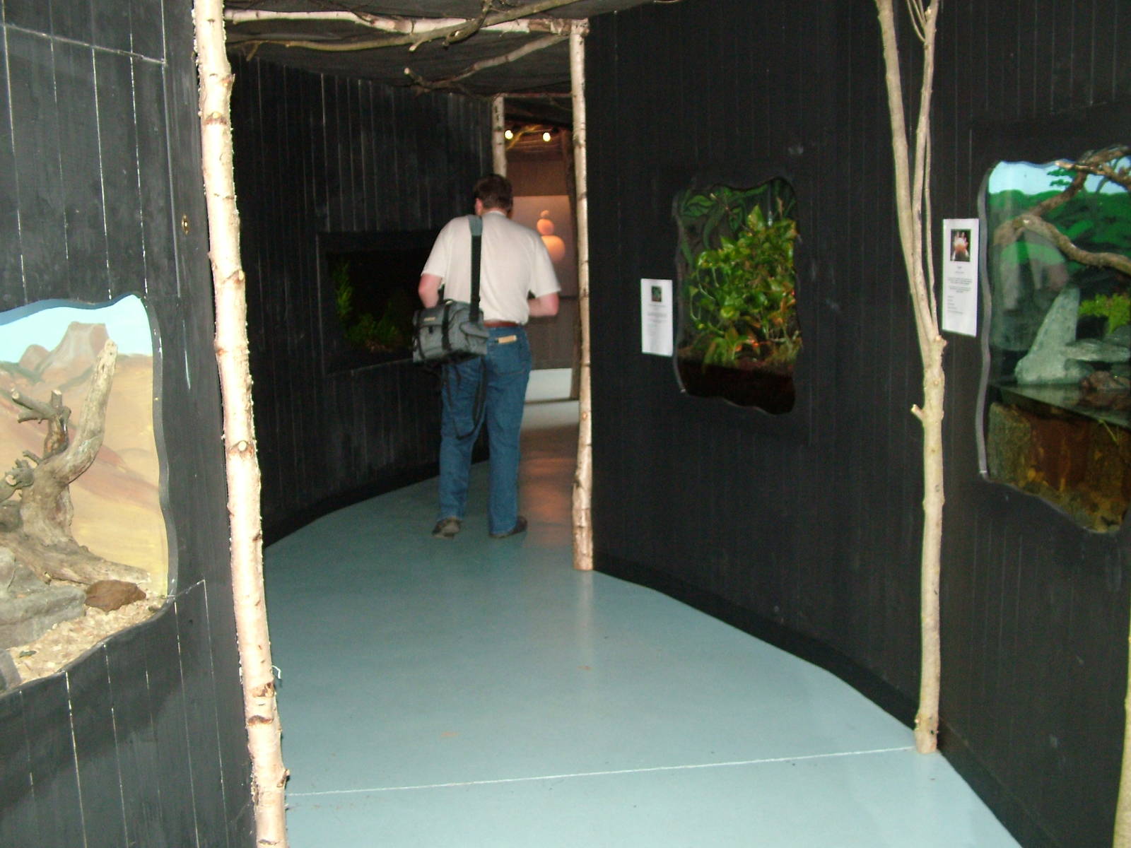 Vivaria at Birdland 19/09/09