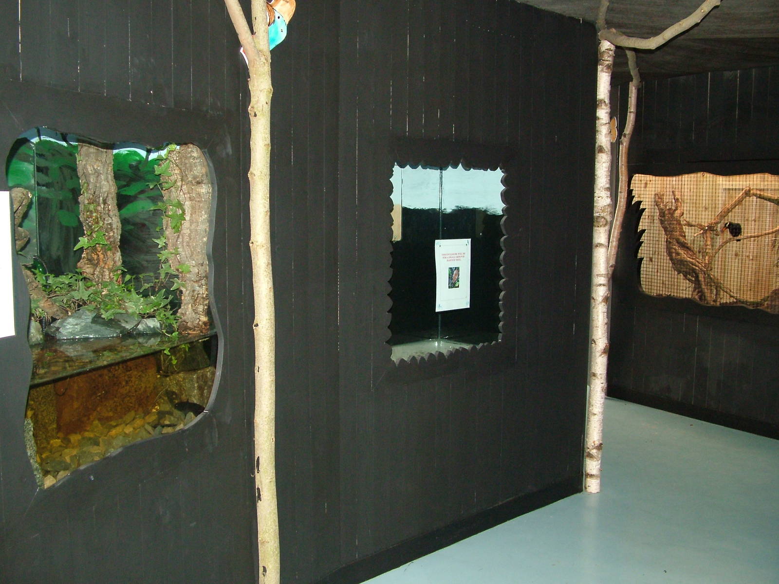 Vivaria at Birdland 19/09/09