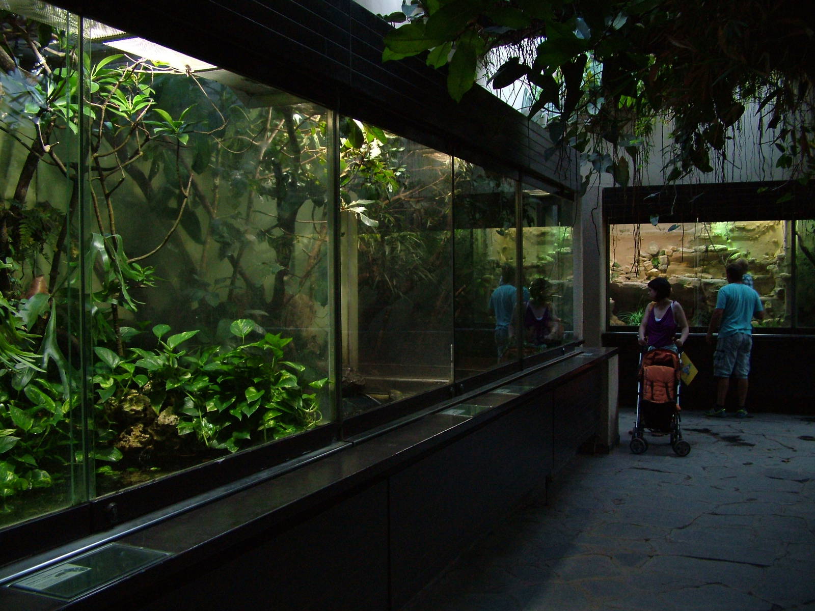 Vivaria at Leipzig, 02/09/11