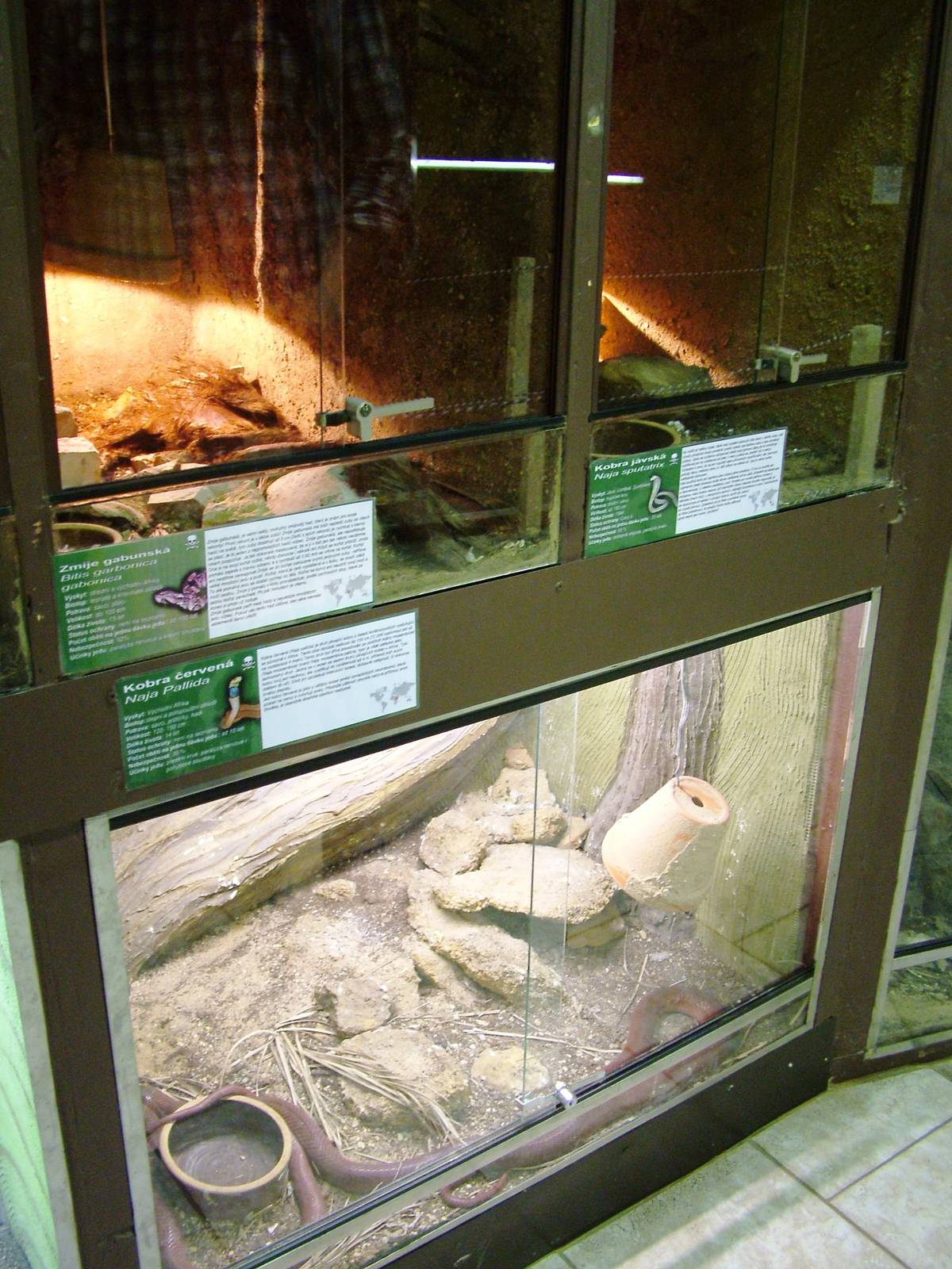 Vivaria at Prague Terrarium, 26/08/12