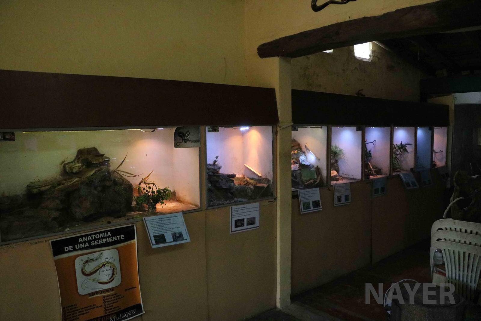 Vivaria, Serpentario Machaqway - April 2016.