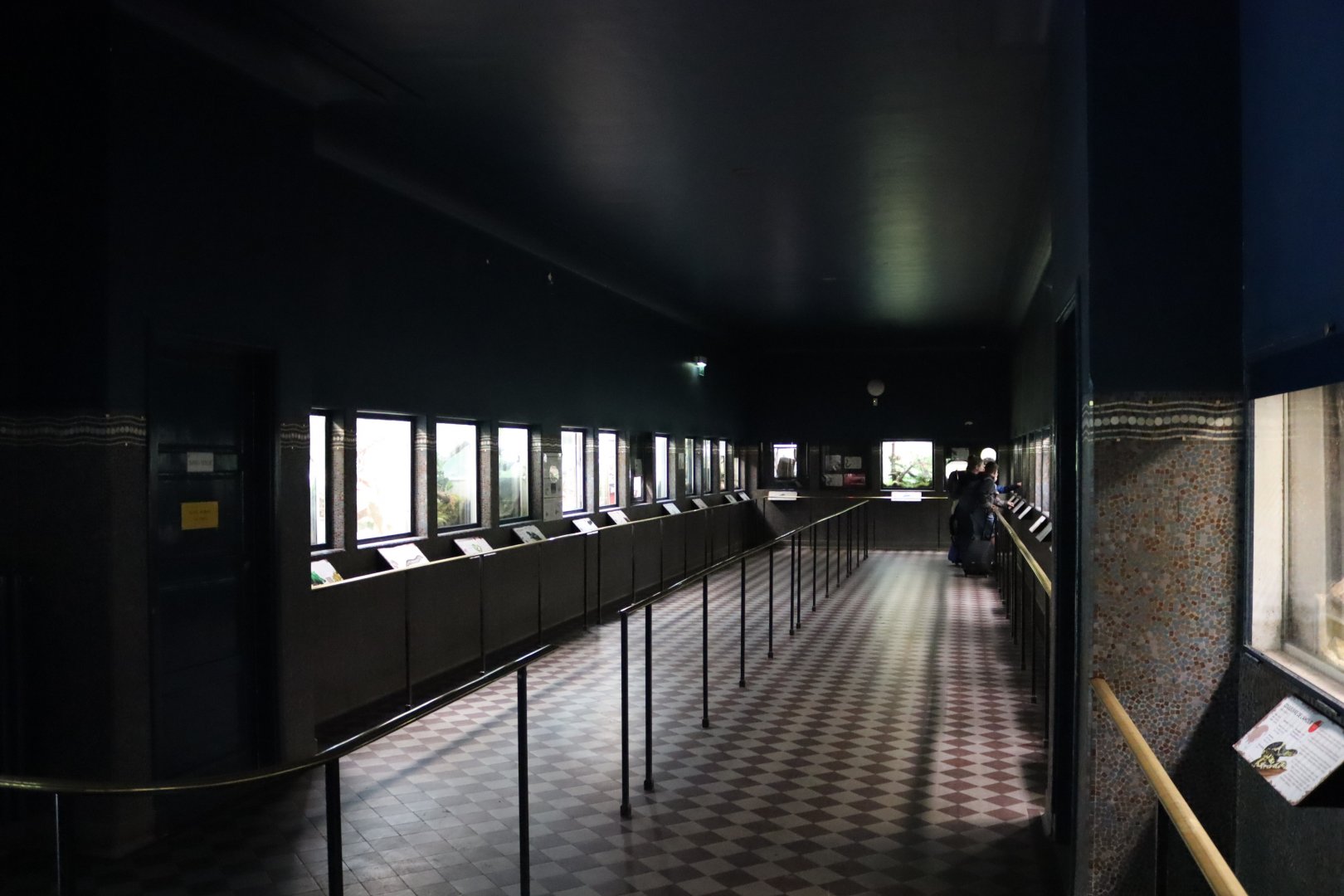 Vivarium - 6th July 2024