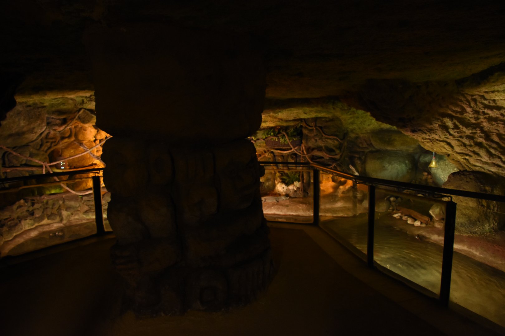 Vivarium - African Dwarf Crocodiles