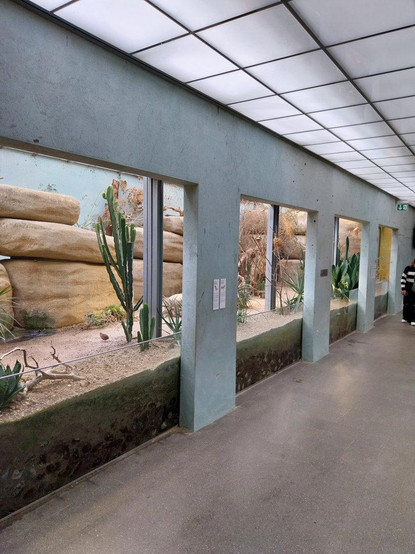 Vivarium - African savanna aviary